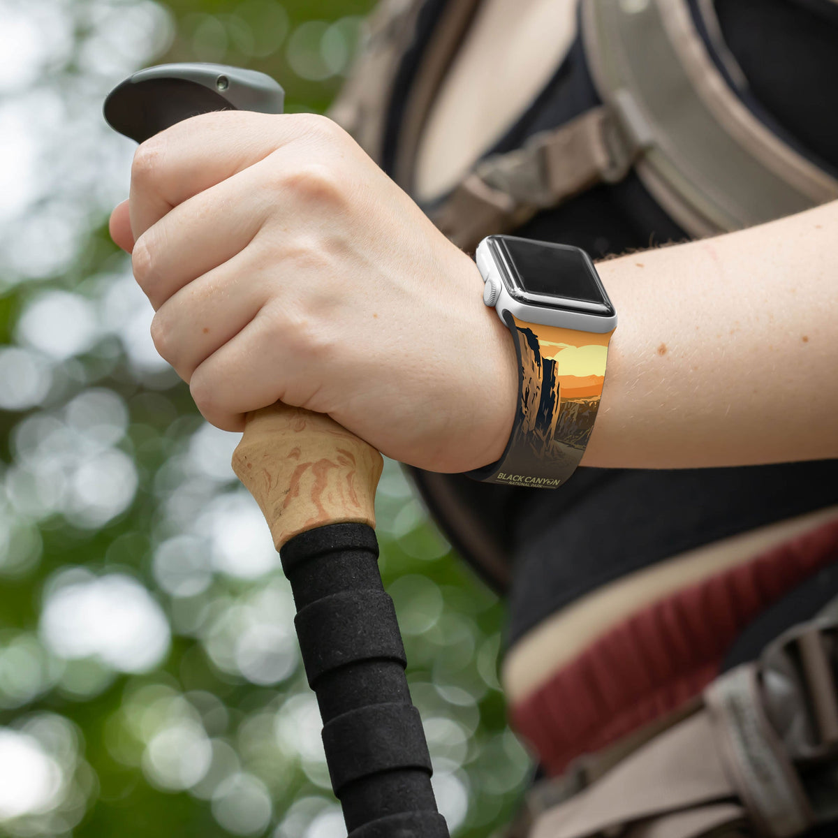 National Parks Black Canyon HD Apple Watch Band