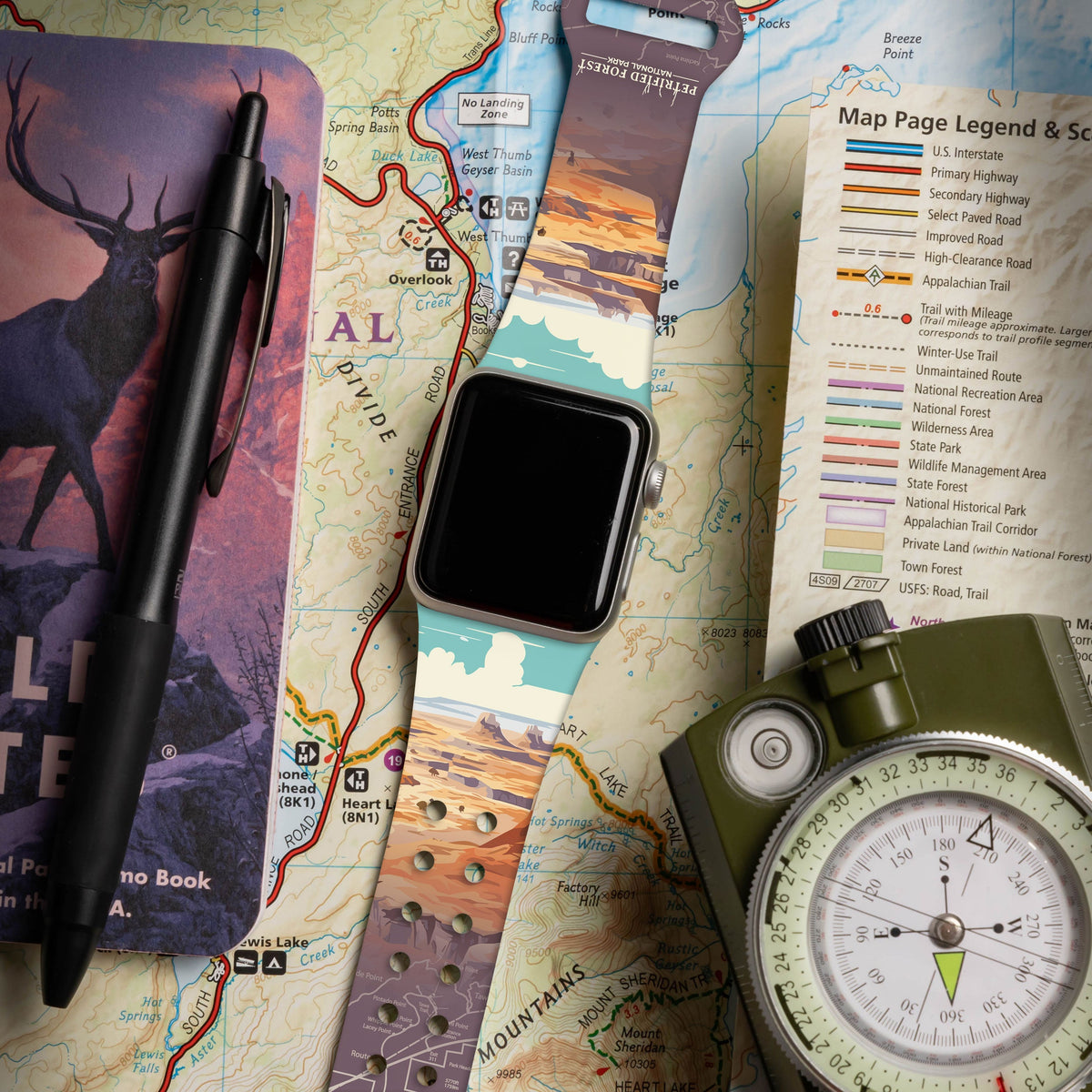 National Parks Petrified Forest HD Apple Watch Band