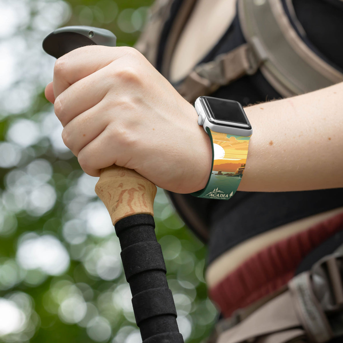 National Parks Acadia HD Apple Watch Band