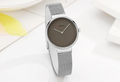 Women's Minimalist Mesh Strap Watch Slim Silver Dial
