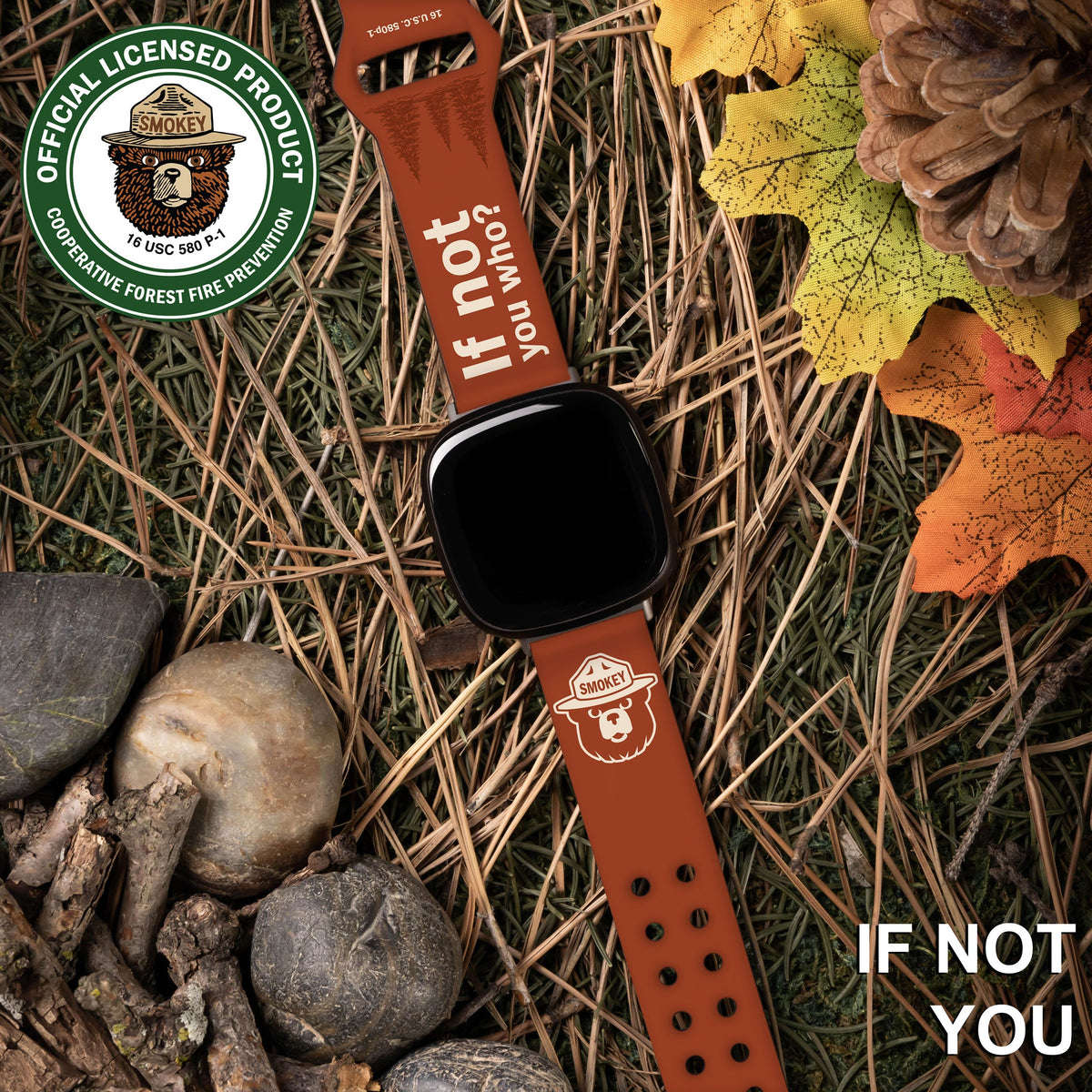 Smokey Bear Classic HD Fitbit Versa 3 & Sense Watch Band