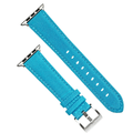 Apple Band - Cordura - Deep Sky Blue